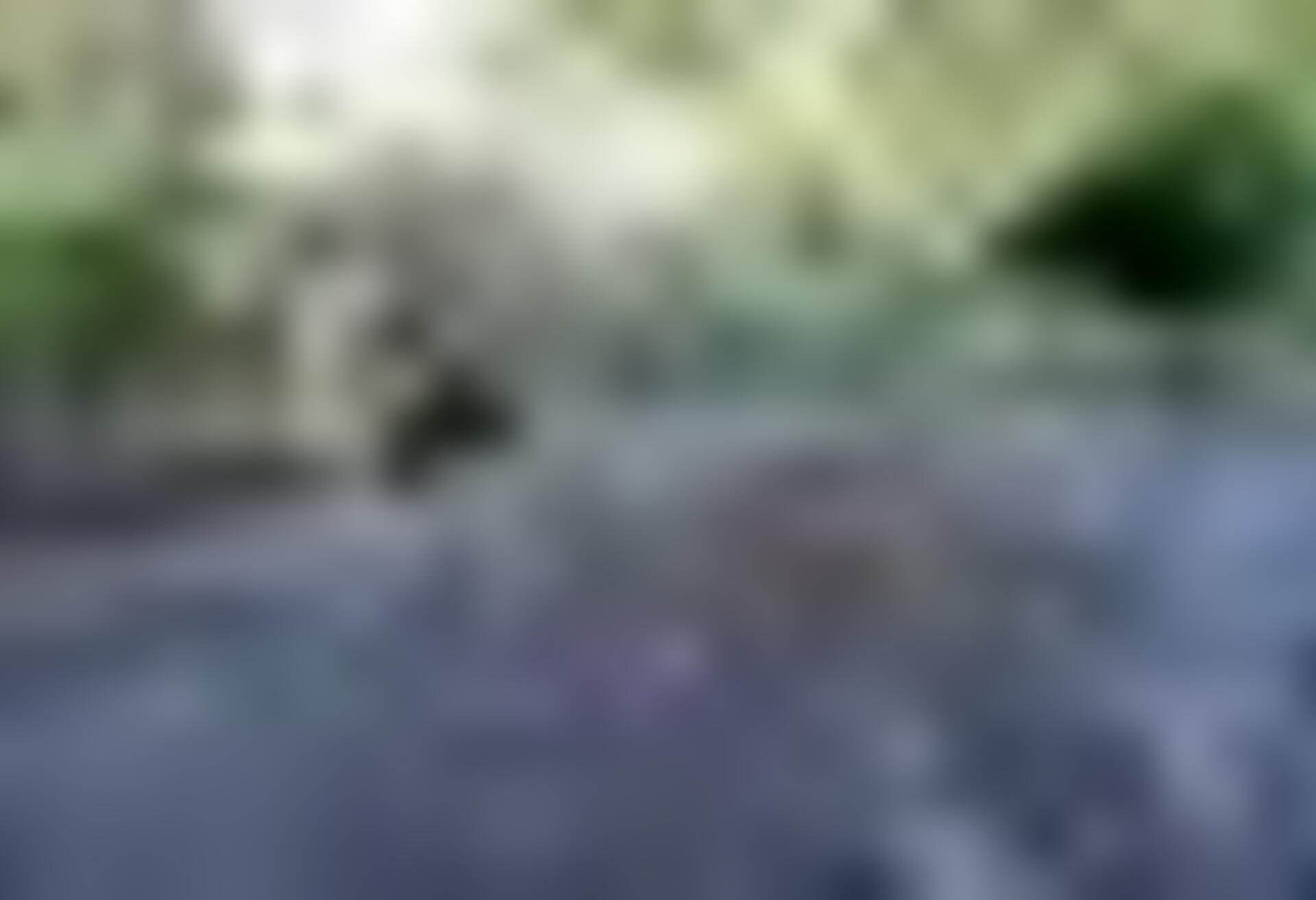 tiny_thumb_Fraga_da_ponte_das_vinhas