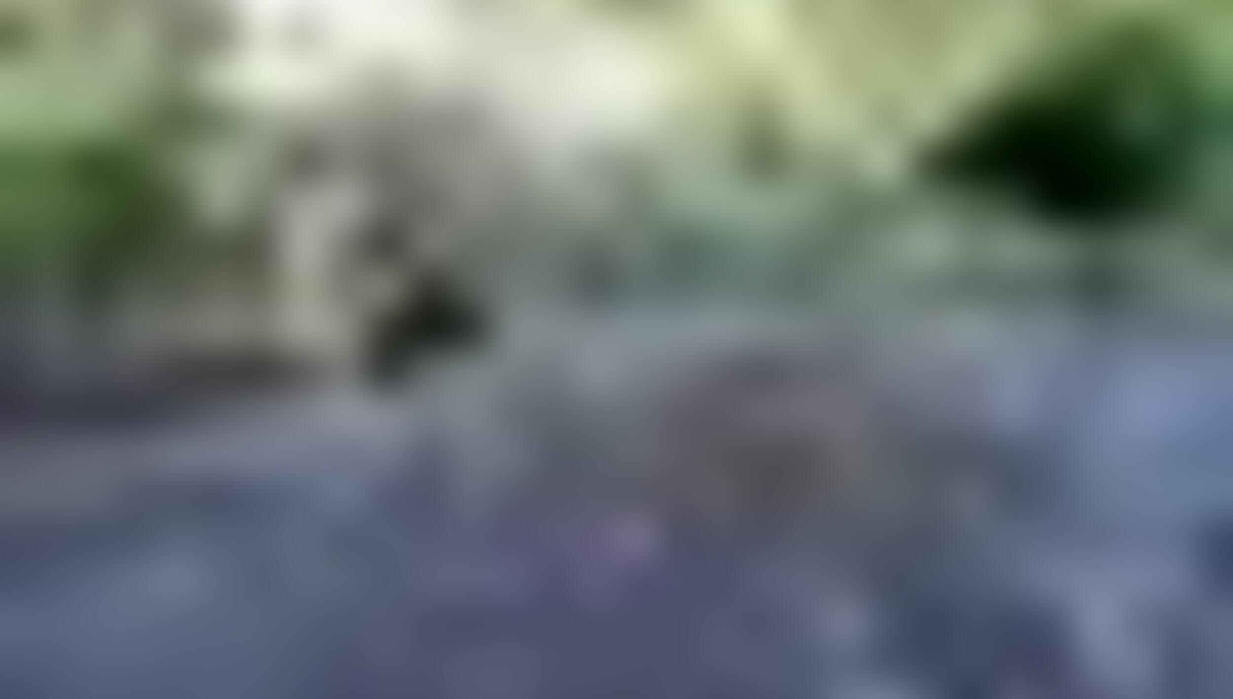 tiny_thumb_Fraga_da_ponte_das_vinhas