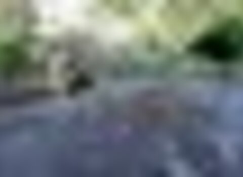 tiny_thumb_Fraga_da_ponte_das_vinhas