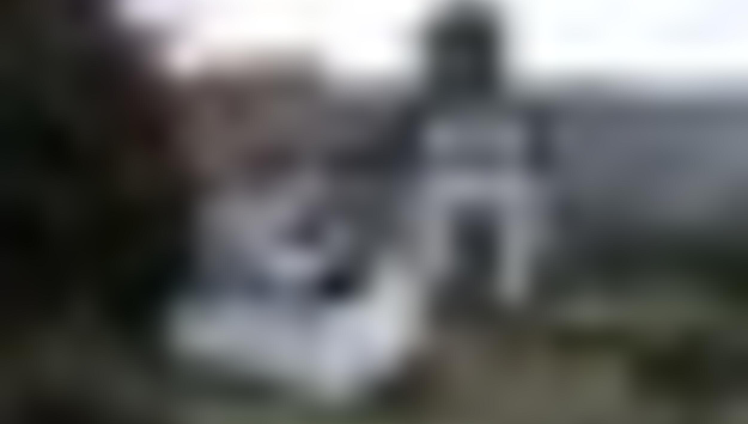 tiny_thumb_T10_Meixedo_01