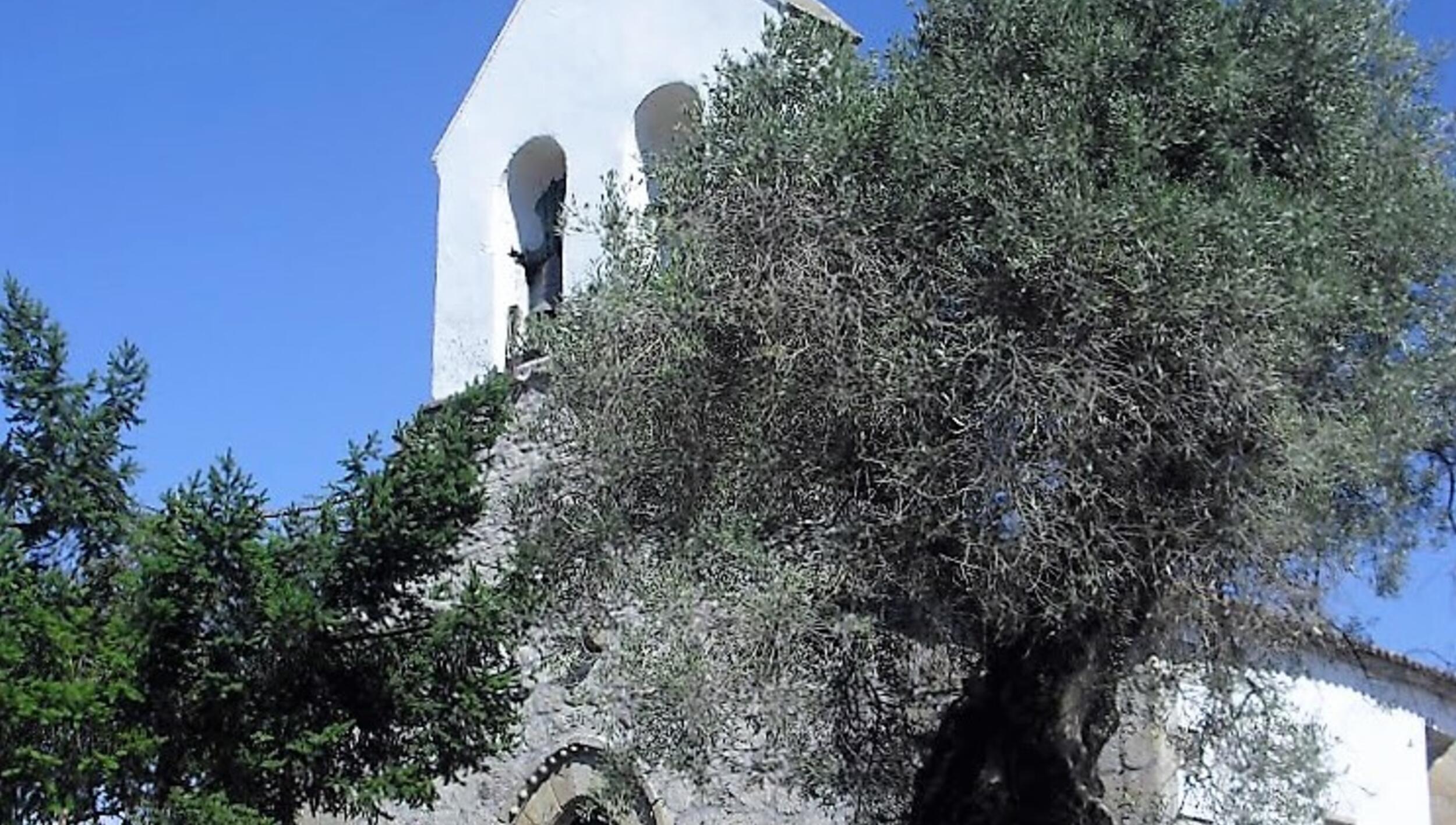 Igreja Matriz de Parada / Igreja de São Genésio