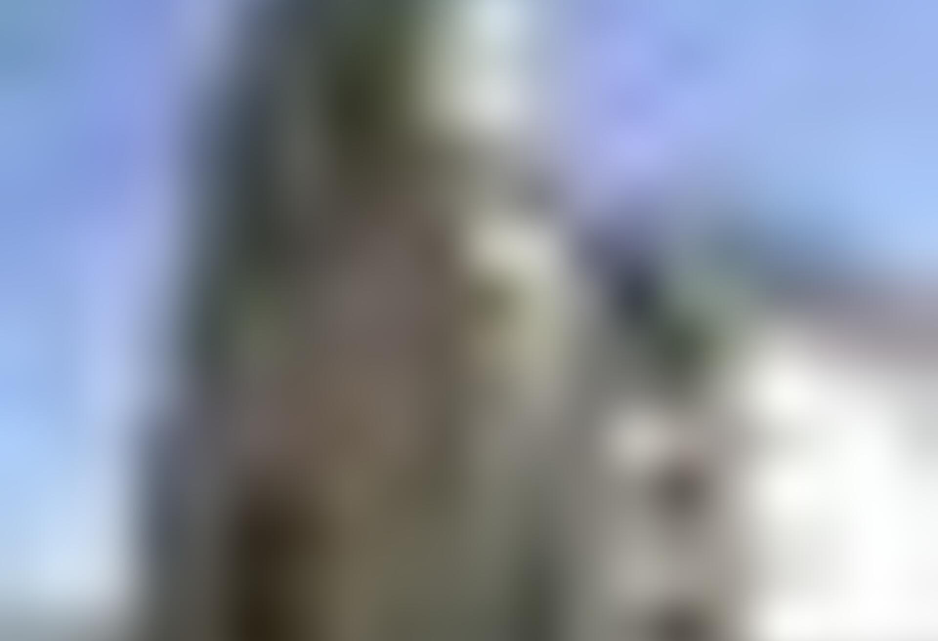 tiny_thumb_T05_Castanheira_01