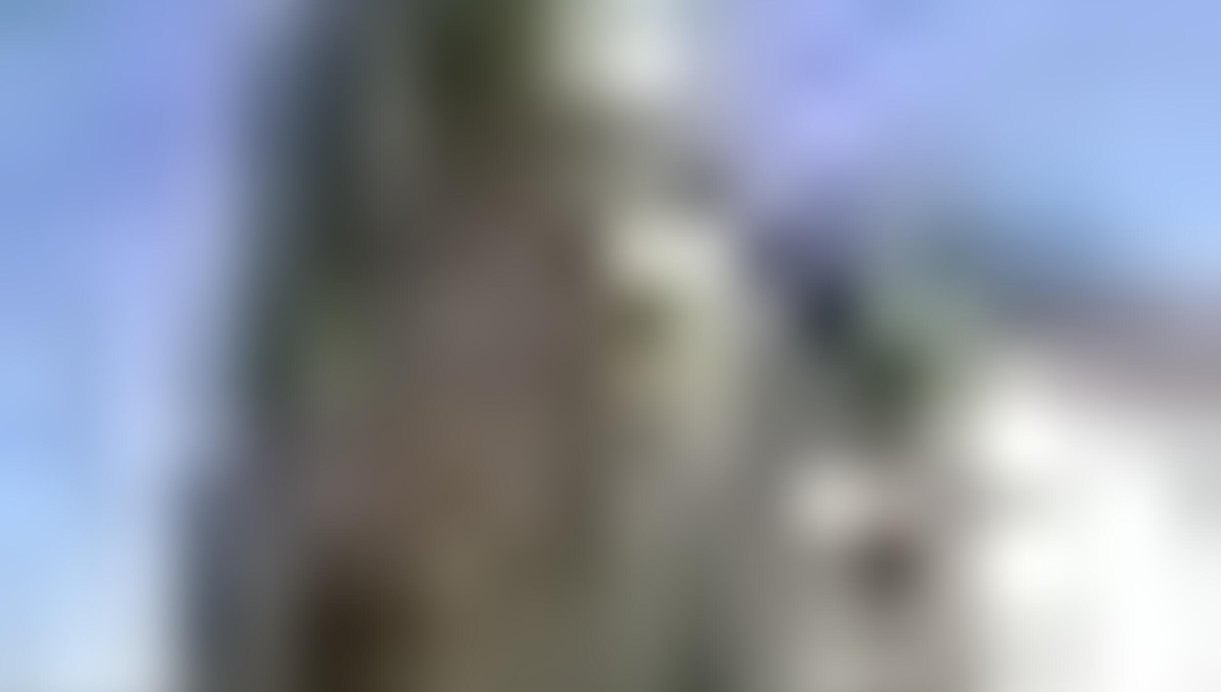 tiny_thumb_T05_Castanheira_01