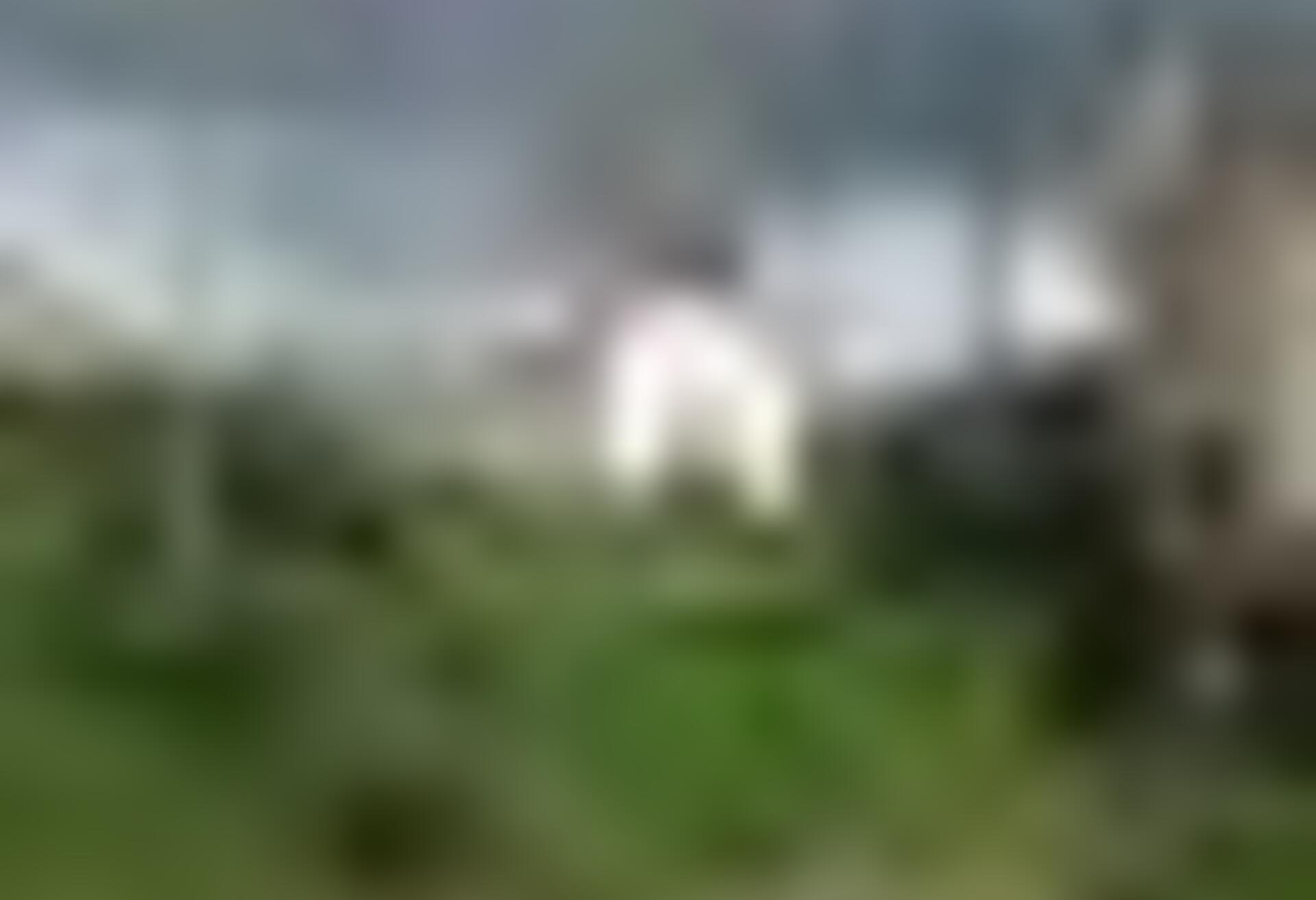 tiny_thumb_T04_Saldanha_01