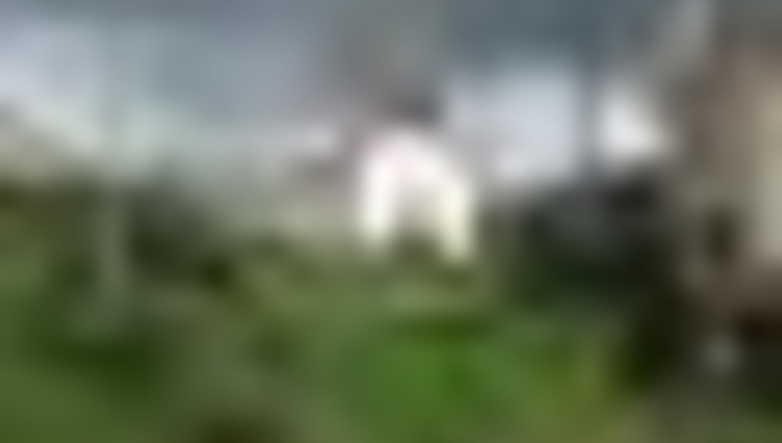 tiny_thumb_T04_Saldanha_01