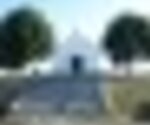 tiny_thumb_T03_Freixiosa_02