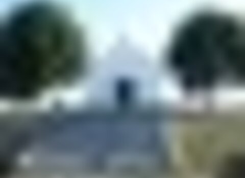 tiny_thumb_T03_Freixiosa_02
