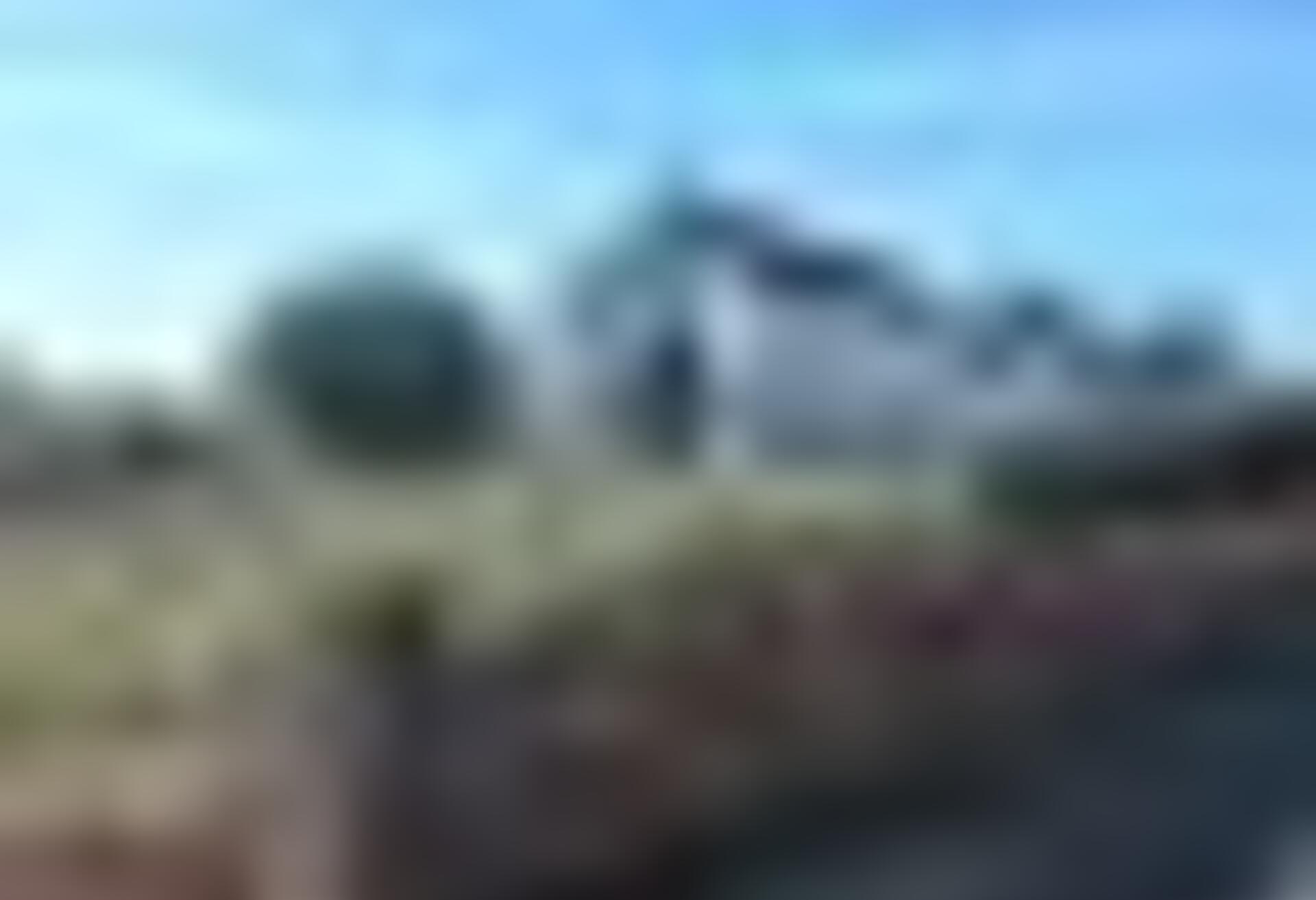 tiny_thumb_T05_Azinhoso_03