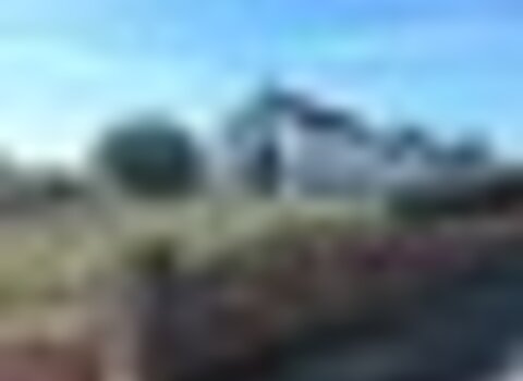 tiny_thumb_T05_Azinhoso_03
