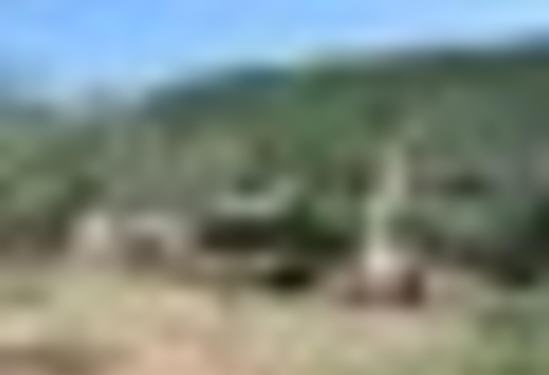 tiny_thumb_T04_Valverde_03