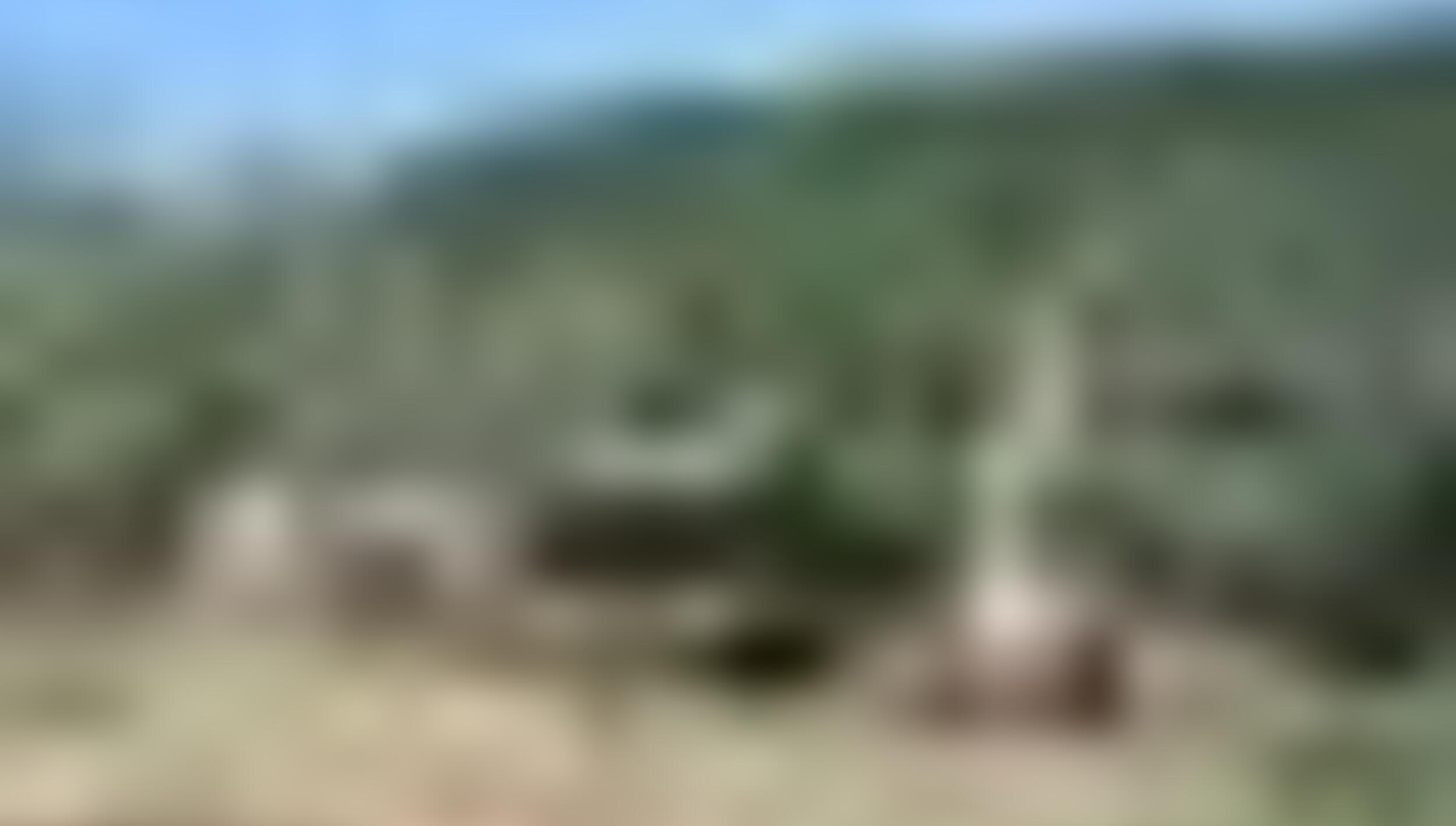 tiny_thumb_T04_Valverde_03