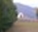 tiny_thumb_T08_Nunes_03