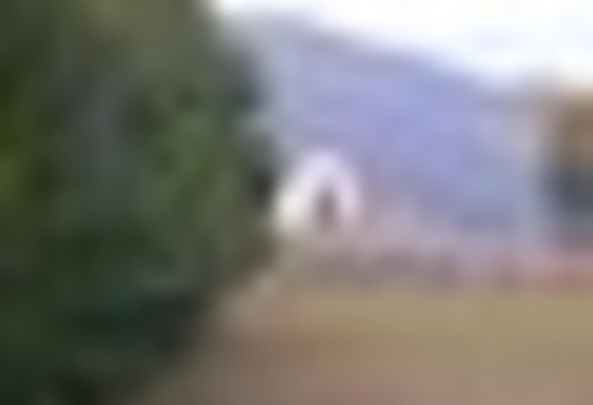 tiny_thumb_T08_Nunes_03