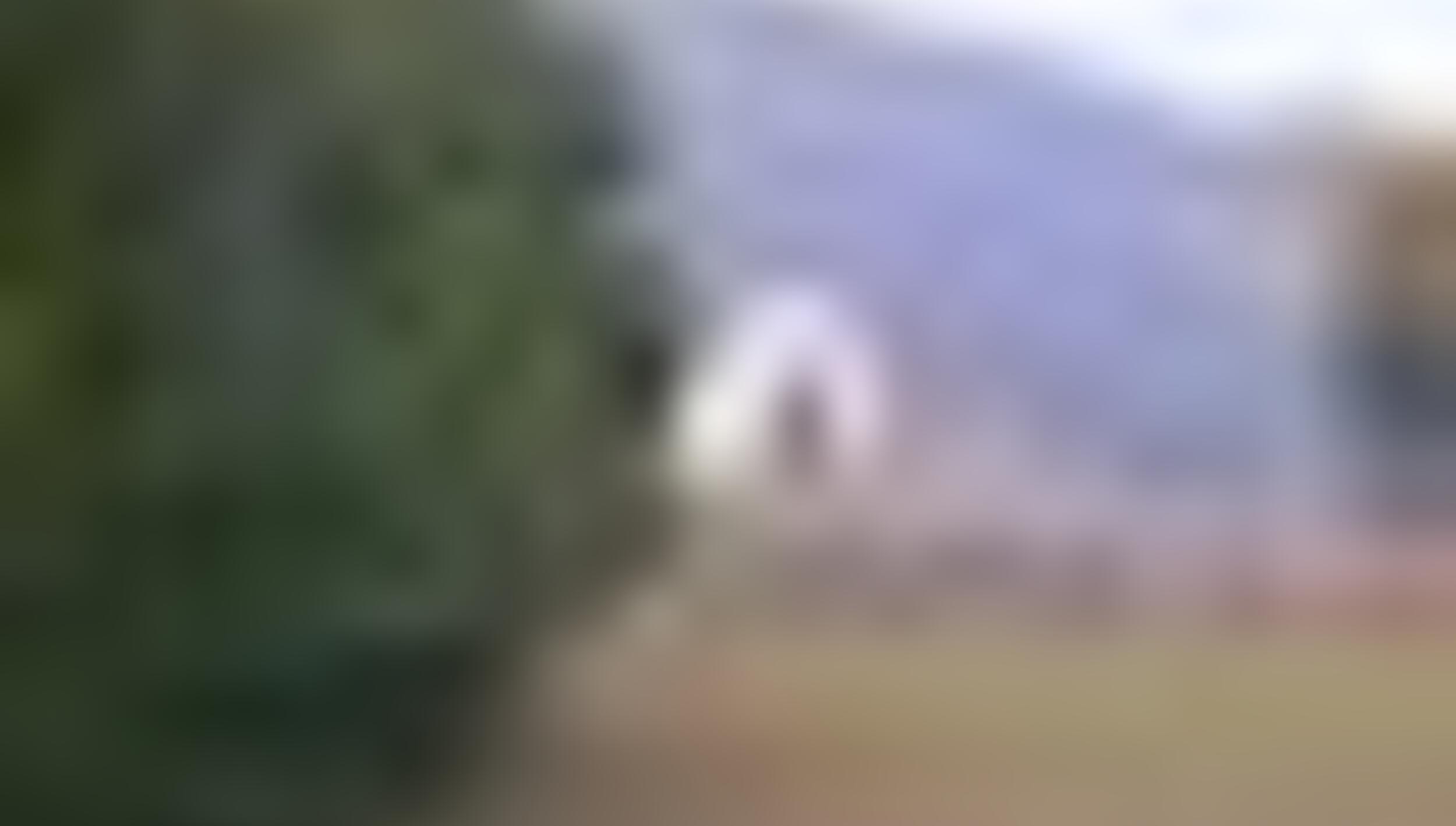 tiny_thumb_T08_Nunes_03