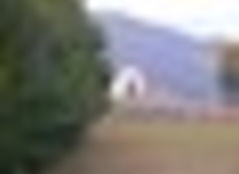 tiny_thumb_T08_Nunes_03