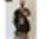 tiny_thumb_s_antao_romarizh__Medium_