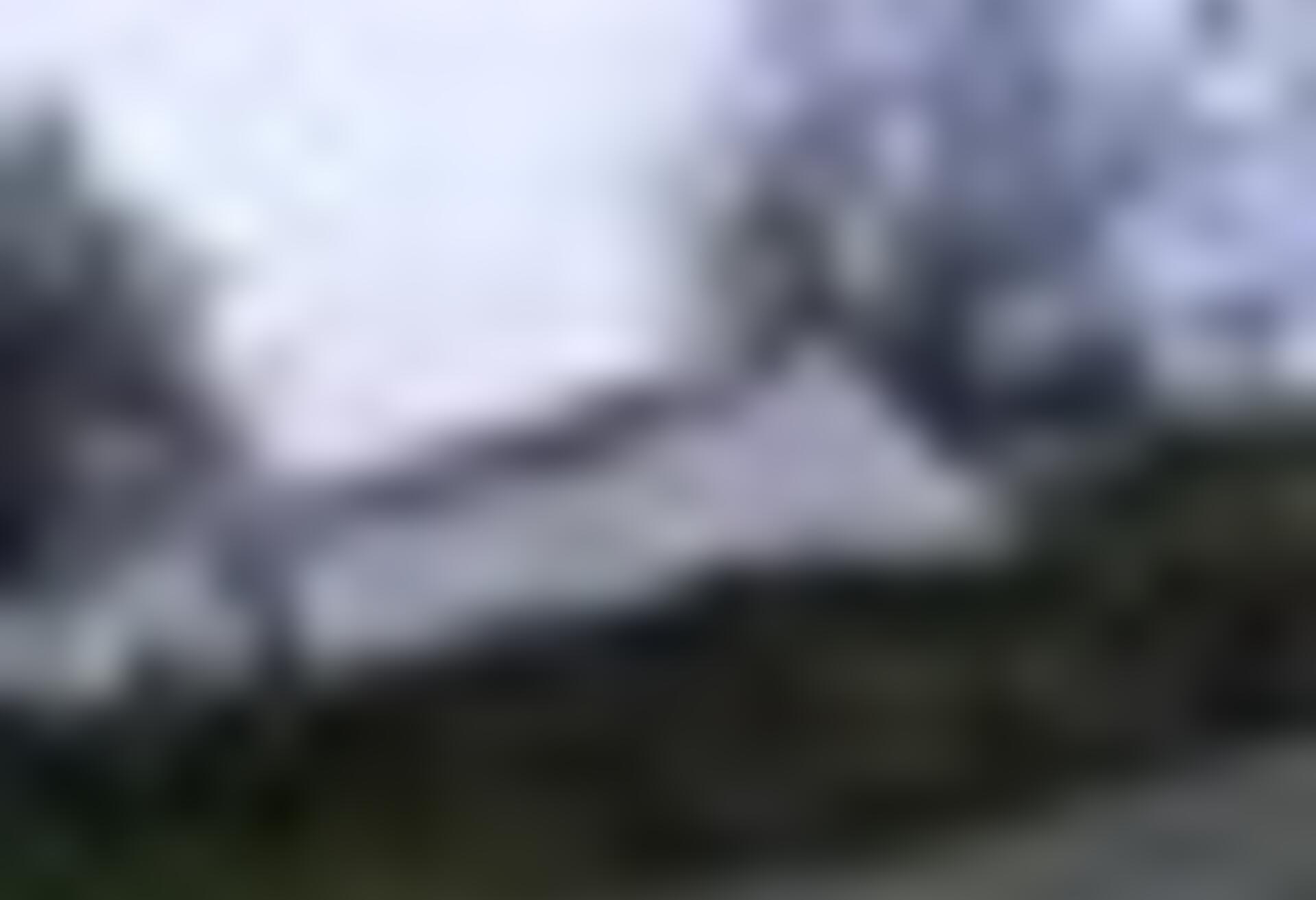 tiny_thumb_T09_Contim_01