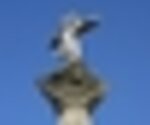 tiny_thumb_pormenor_cruzeiro_ca_arelhos1