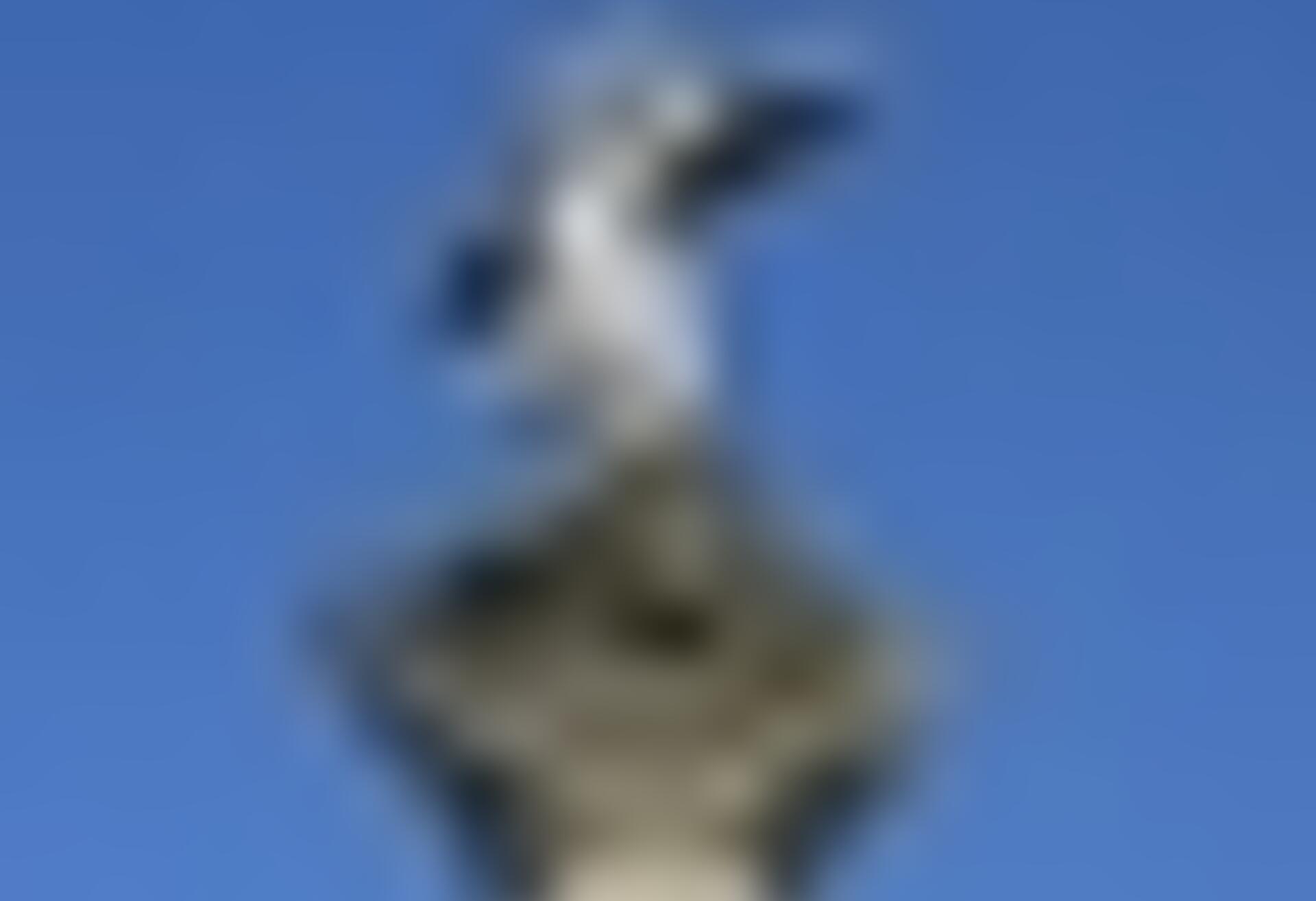 tiny_thumb_pormenor_cruzeiro_ca_arelhos1