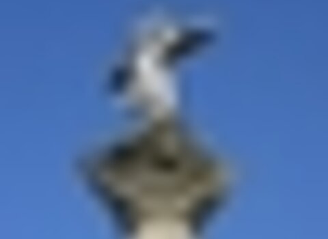 tiny_thumb_pormenor_cruzeiro_ca_arelhos1