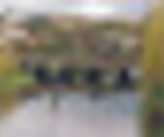 tiny_thumb_Ponte_Gimonde_P60