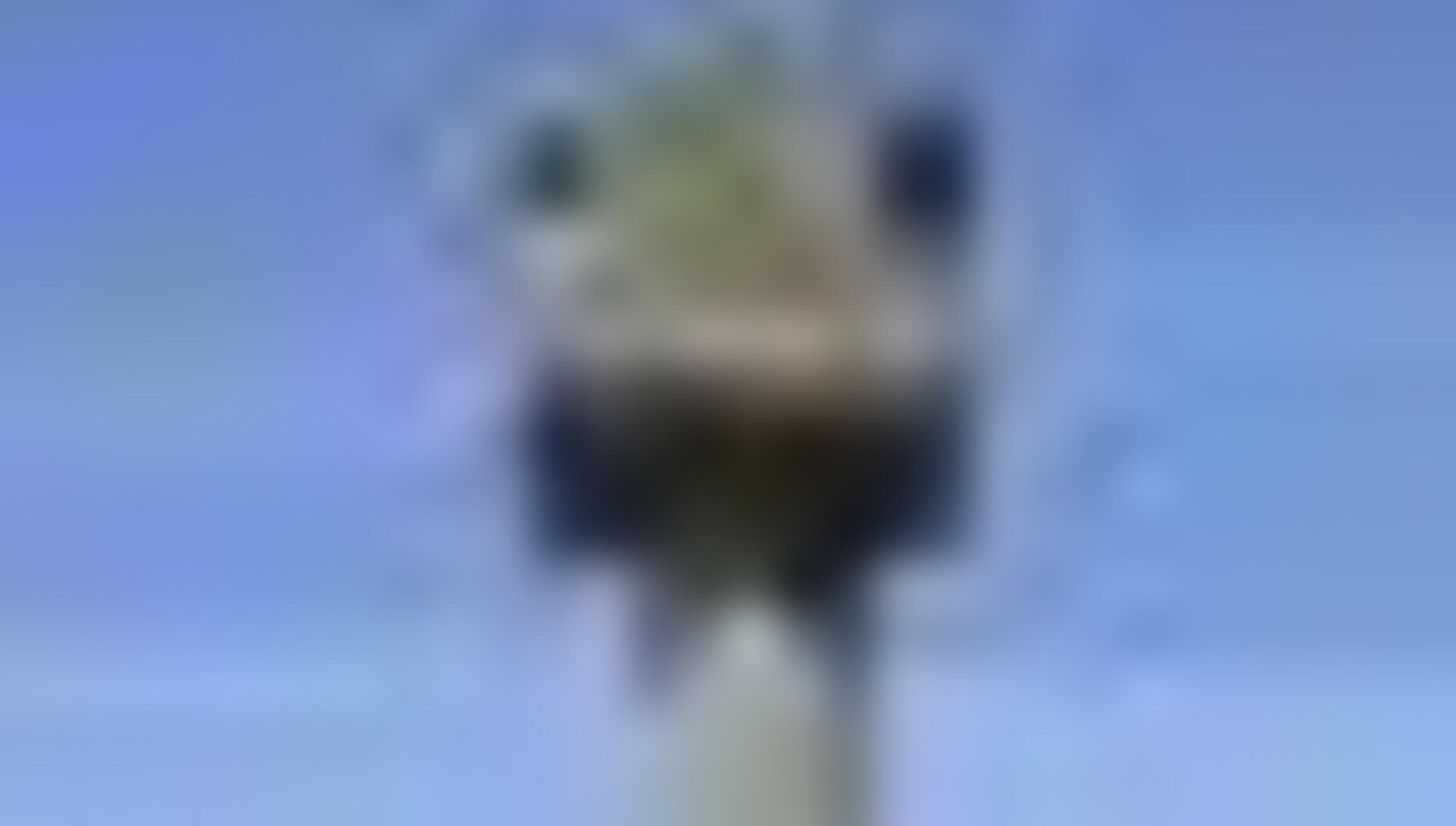 tiny_thumb_Pelourinho_2rebord_