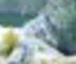 tiny_thumb_T03_13___2___Medium_