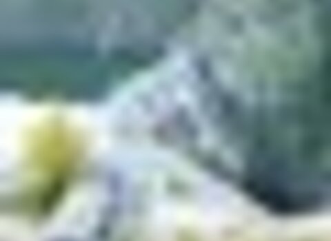 tiny_thumb_T03_13___2___Medium_