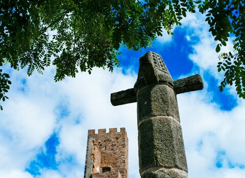 mogadouro-14__Medium_