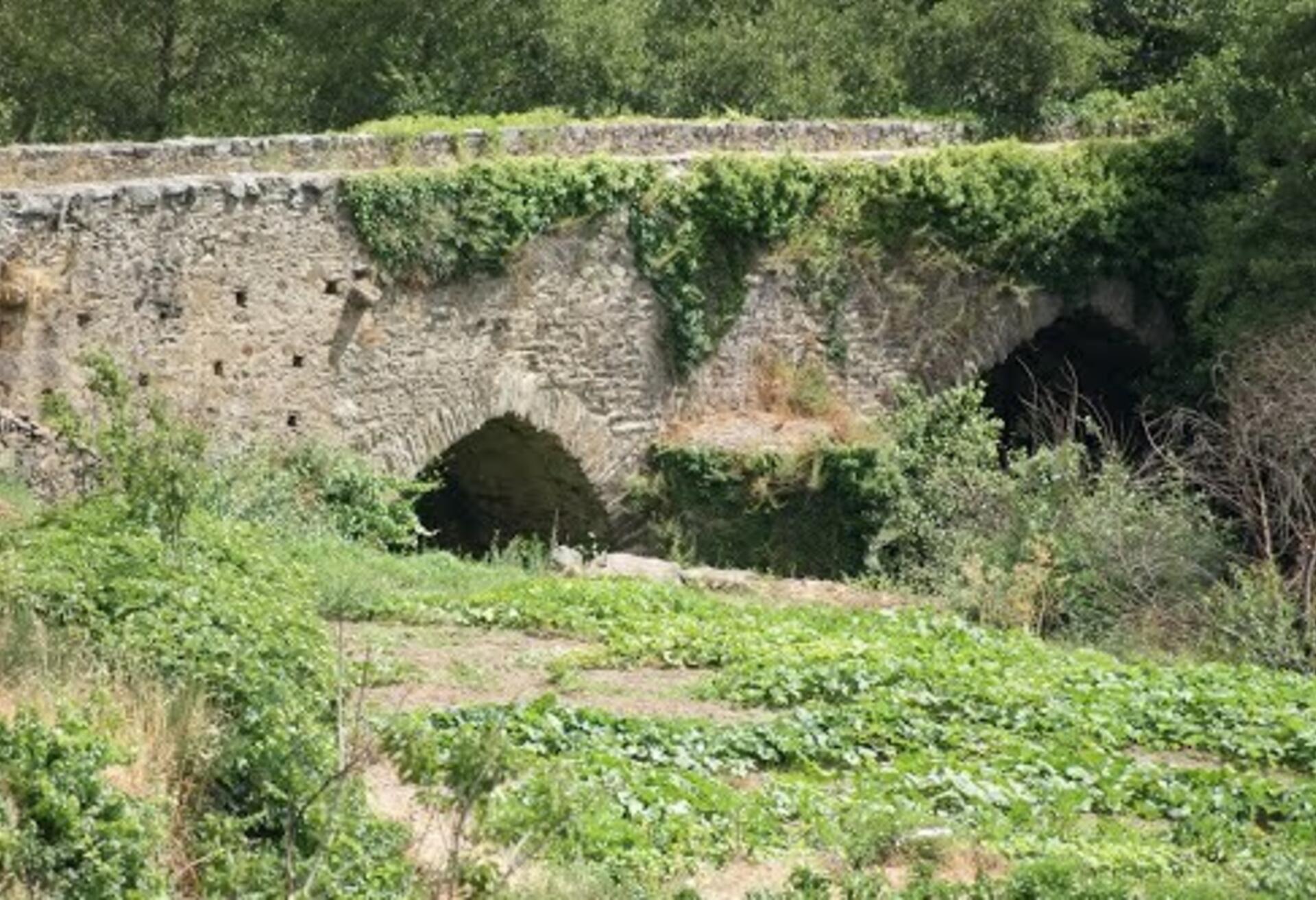 ponte_das_carvas