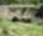 tiny_thumb_ponte_das_carvas