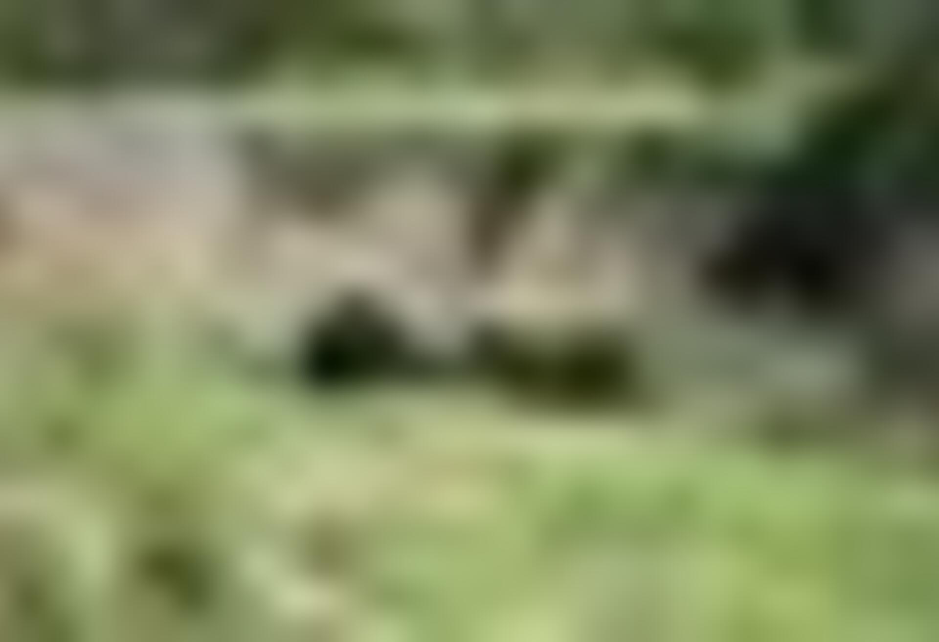 tiny_thumb_ponte_das_carvas