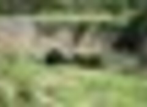 tiny_thumb_ponte_das_carvas