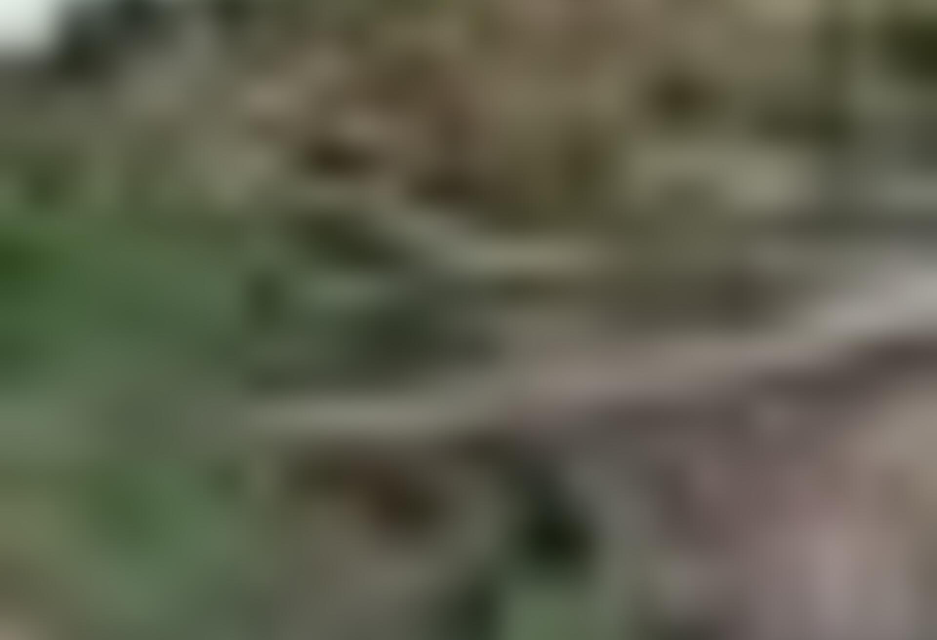 tiny_thumb_pontedojorge
