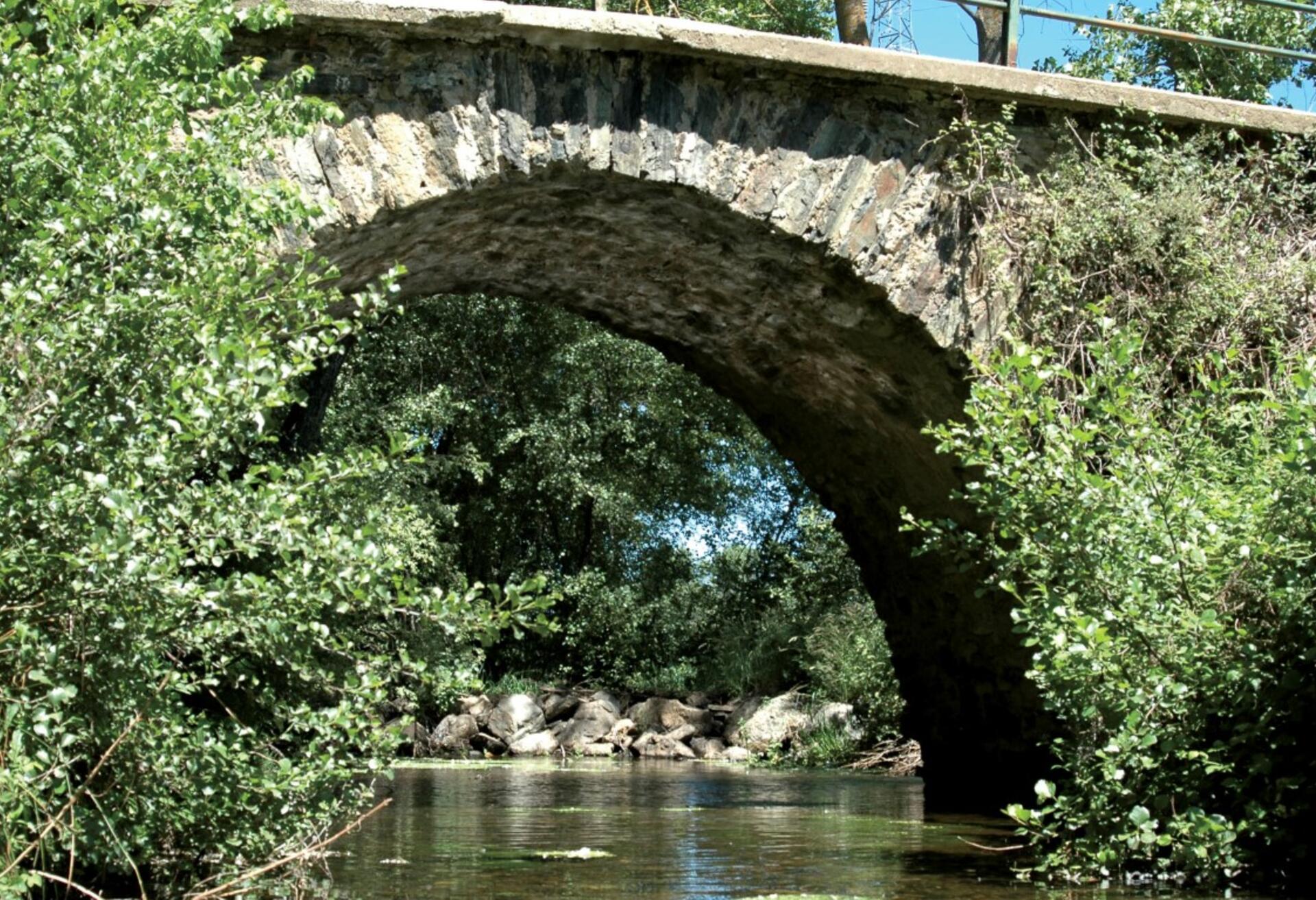 Ponte_de_Ari_es_Castro_de__copy__Medium_