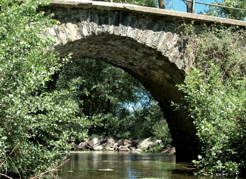 Ponte_de_Ari_es_Castro_de__copy__Medium_