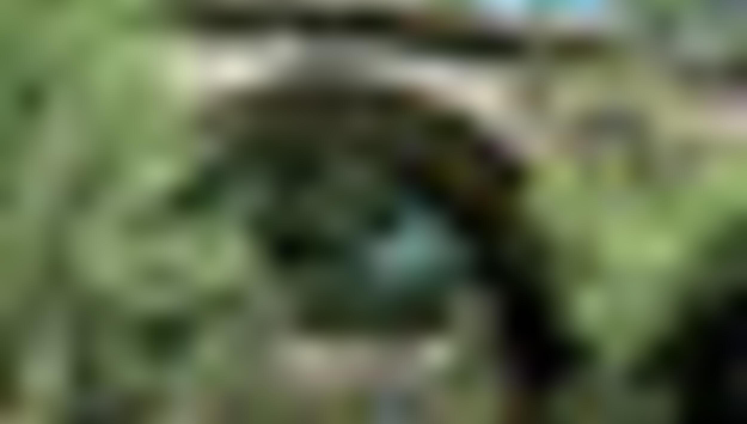tiny_thumb_Ponte_de_Ari_es_Castro_de__copy__Medium_