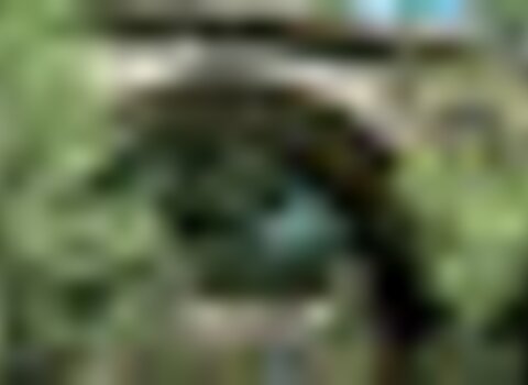 tiny_thumb_Ponte_de_Ari_es_Castro_de__copy__Medium_
