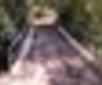 tiny_thumb_ponte_de_maquieiros