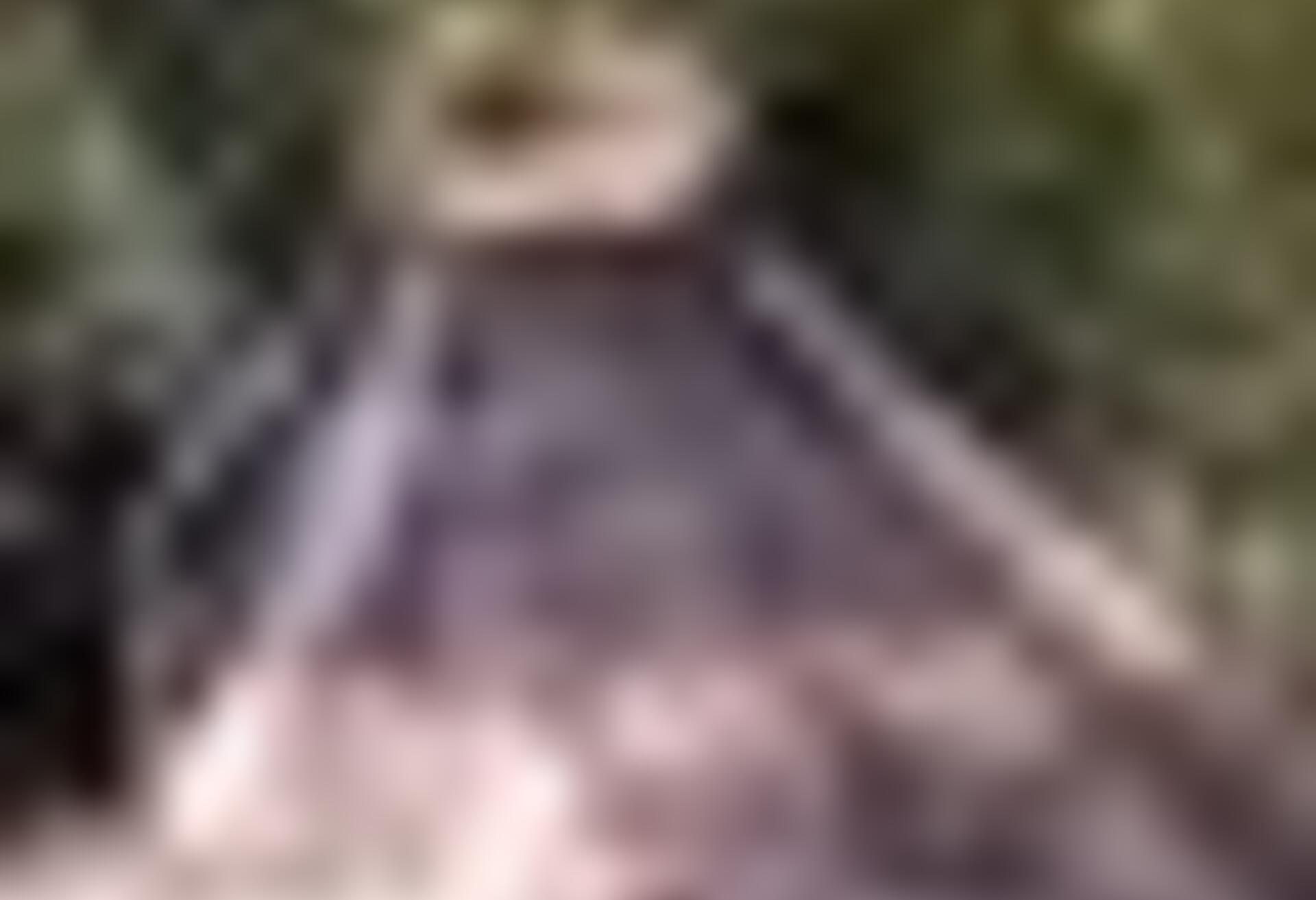 tiny_thumb_ponte_de_maquieiros
