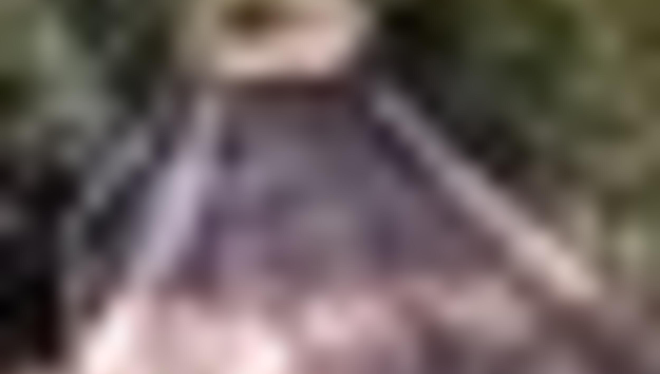 tiny_thumb_ponte_de_maquieiros