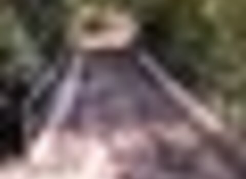 tiny_thumb_ponte_de_maquieiros