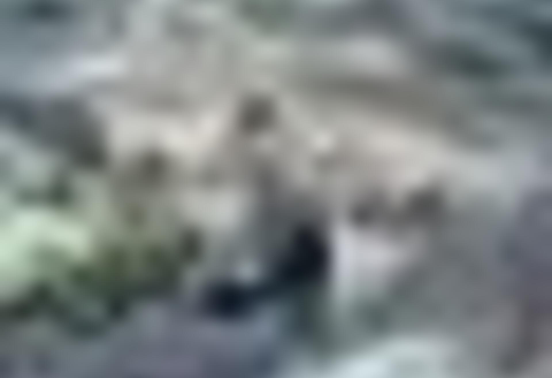 tiny_thumb_ponte_de_grij__de_parada