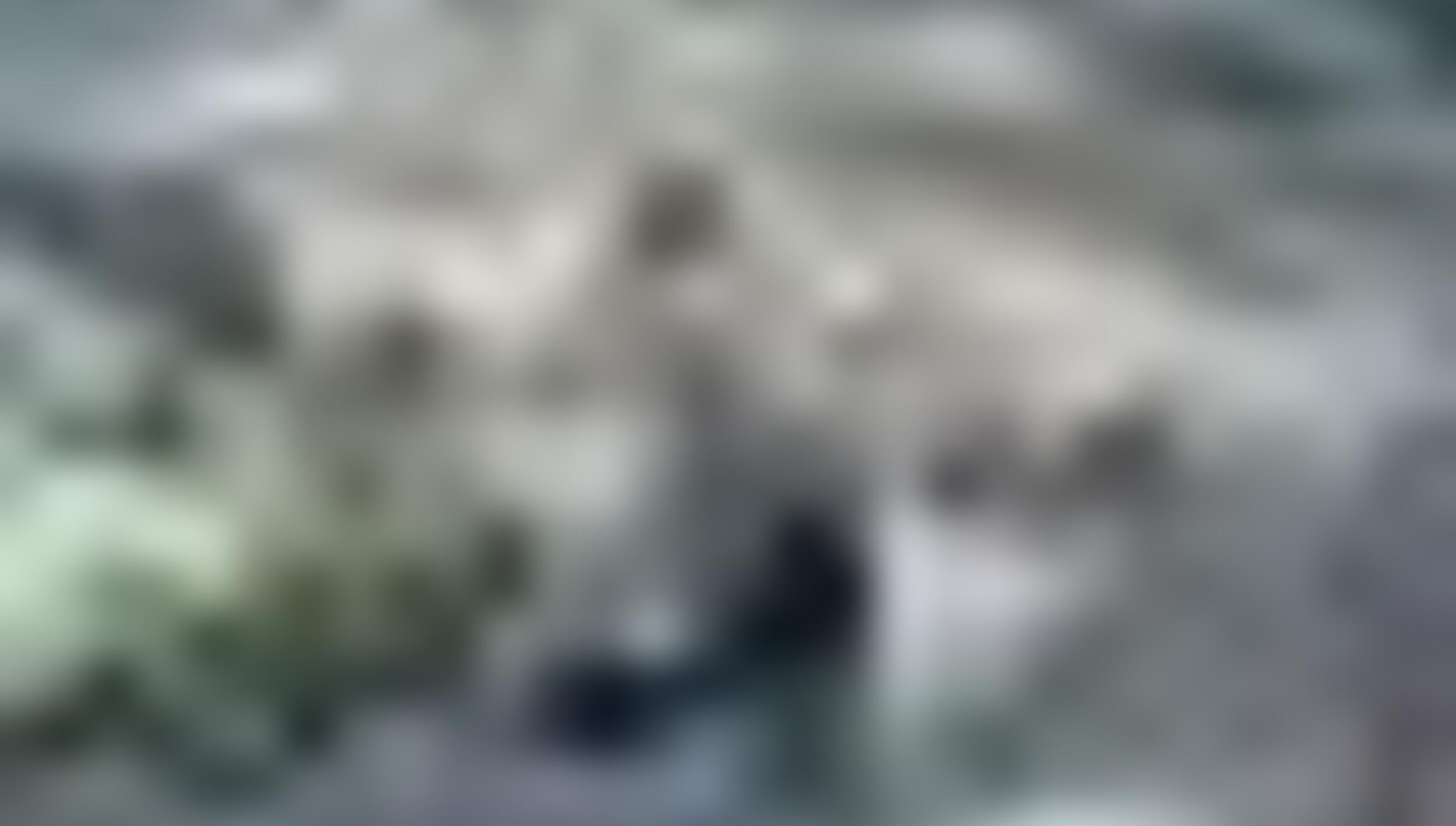tiny_thumb_ponte_de_grij__de_parada