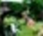 tiny_thumb_rio_de_onor_pessoas_cultivo-18__Medium_
