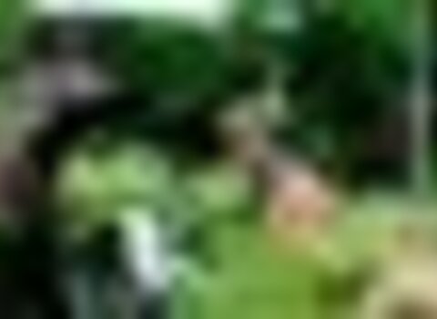 tiny_thumb_rio_de_onor_pessoas_cultivo-18__Medium_