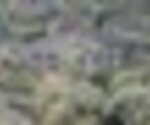tiny_thumb_T06_06___3___Medium_