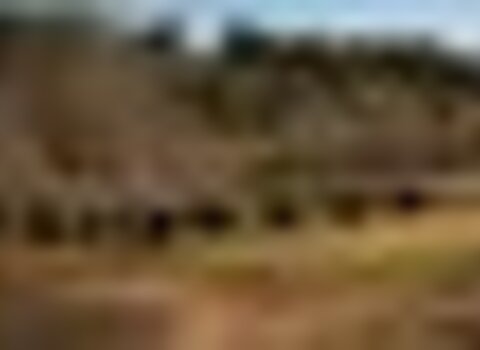 tiny_thumb_T03_08___6___Medium_