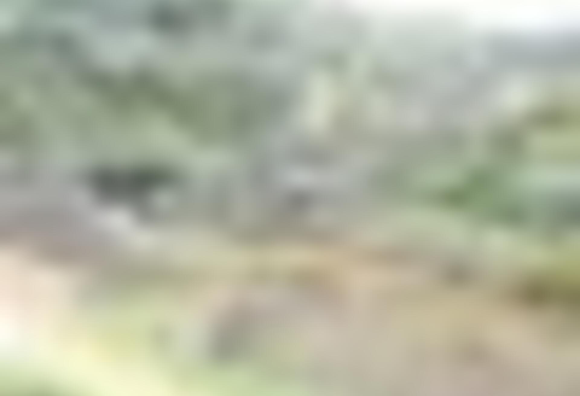 tiny_thumb_T03_06___33___Medium_