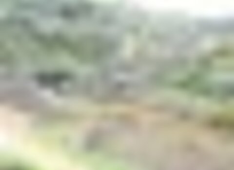 tiny_thumb_T03_06___33___Medium_